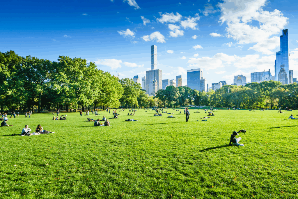 Delta New Palm Beach