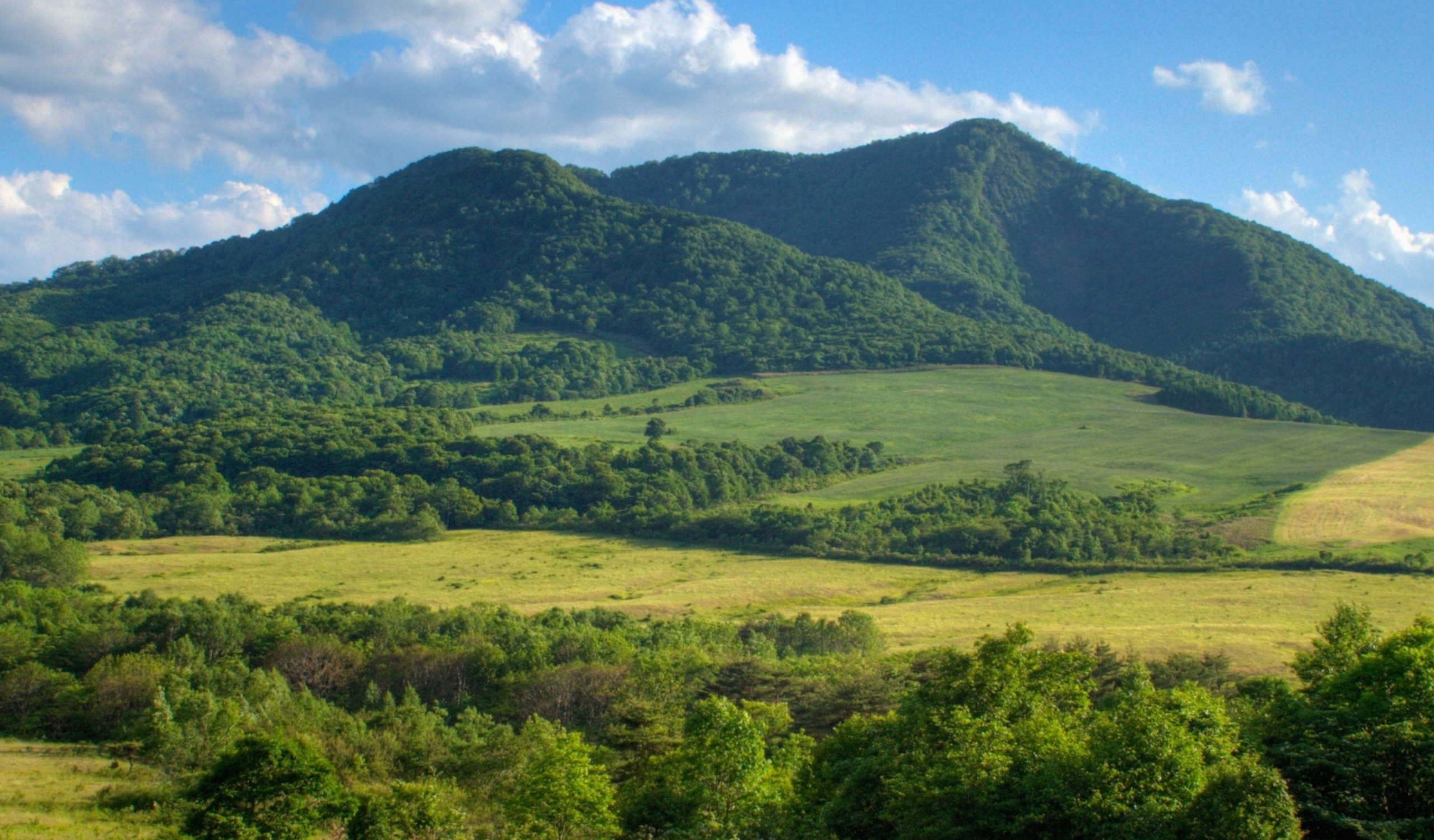 Delta New Palm Beach